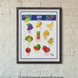 A framed chart of fruits names in Punjabi with colorful illustrations hangs on the brick wall.