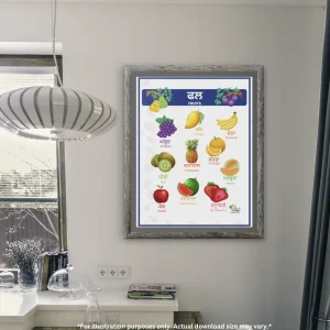 A fruits names chart in Punjabi and modern lamp with wire hangs on the wall. There is a platform of marble stong that has some books, plant with its glass jar and some other things on it.