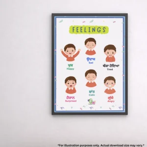 A simple and educational feelings chart in Punjabi and English hanging on a textured wall.