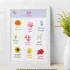 A beautiful chart of flower names in Punjabi is standing on a wooden table, leaning against a white wall. There is a plant in a container beside the chart.