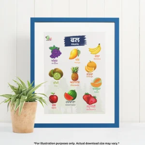 A blue-framed chart of fruits name is resting on the white wall. A decorative plant with a container is next to it.