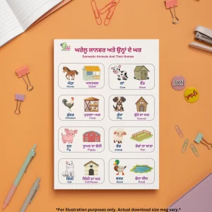 A chart of domestic animals and their homes in Punjabi and English is on an orange background, with a book, pins, badges, pens, and a stapler around it.