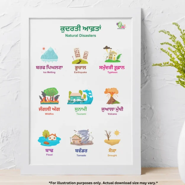 A chart of natural disasters in Punjabi and English rests on a surface with a flower pot nearby.