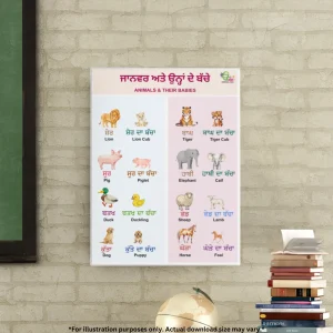 A colorful chart of animals and their baby names in Punjabi and English hangs on the brick wall. A blackboard is beside it, and there are some books and a globe in the room.