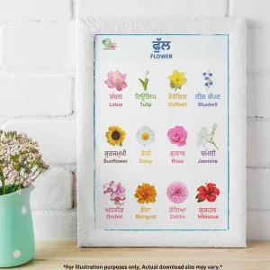 A colorful chart of flowers in Punjabi is on a wooden table, resting against a white brick wall. Near it, there is a container with cute little flowers in it.