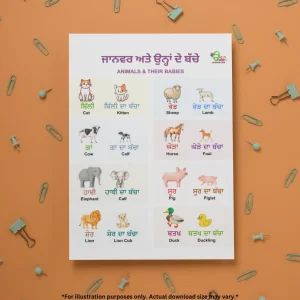 A cute poster of animals and their baby in Punjabi and English is on an orange background with multiple pushpins and clips around it.