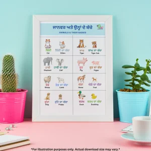 A framed picture of animals and their baby names in Punjabi and English rests on the blue wall and sits on a pink desk. There are plants in containers on the desk on both sides of the picture.