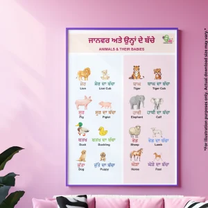 A large purple-framed chart of animals and their baby names in Punjabi and English hangs on the pink wall. There is a pink sofa with cushions and a plant on the floor.