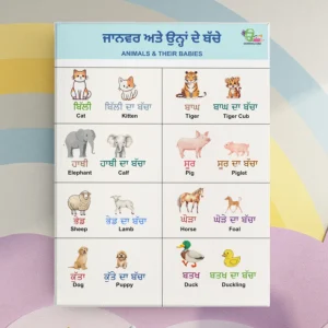 A vibrant poster for kids showing animals and their baby names in Punjabi and English hangs in the center of a multicolored wall.