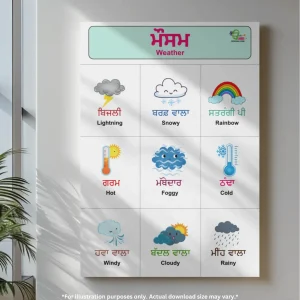 A Weather Names poster in Punjabi and English hangs on a wall, with a plant on the right side.