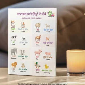 An image of animals and their baby in Punjabi and English stands on the table with a candle beside it. A sofa and cushions are in the background.