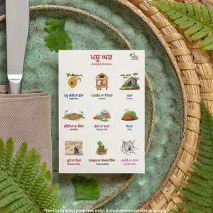 Animals homes names chart in Punjabi and English rests on a plate, surrounded by green leaves with a knife placed on top.