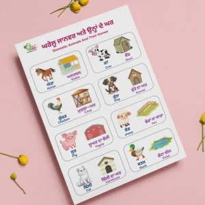 A chart of domestic animals and their homes in Punjabi and English is placed on a pink background with yellow flowers around it.