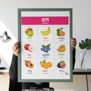 A person wearing a black t-shirt is holding a framed chart of fruit names list in Punjabi. In the background, there is a table that has a plant and a lamp on it.