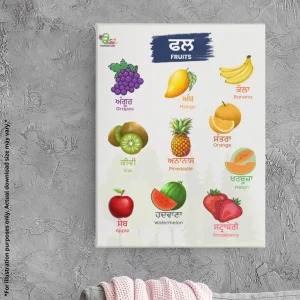 There is a fruits names chart in Punjabi and English with colorful fruit illustrations hanging on the wall.