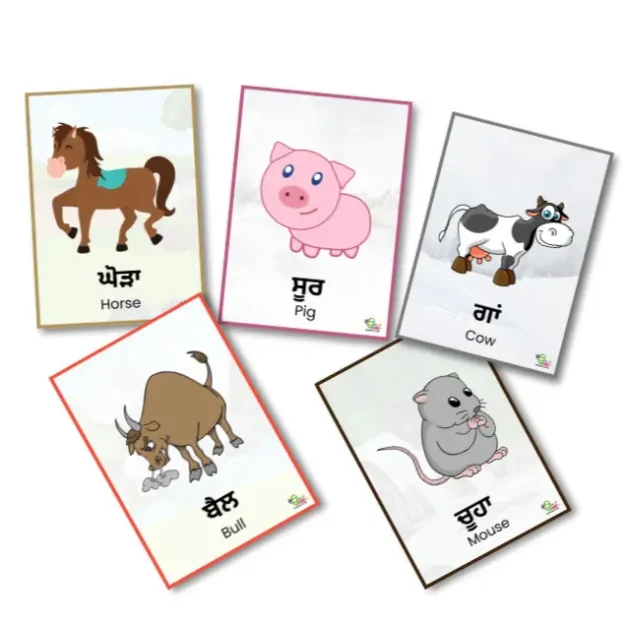 Montessori farm animal flashcards are arranged randomly on a plain white background.