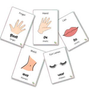 Printable body parts flashcards are placed in random order on a white plain background.