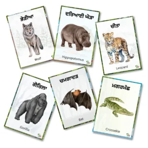 Six wild animal flashcards in Punjabi and English are arranged randomly on a plain white background.