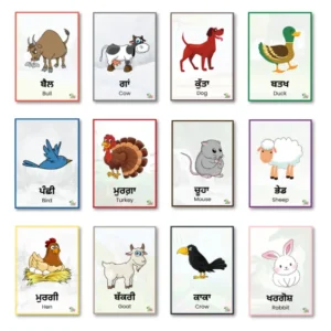 Twelve farm animal flashcards are neatly arranged in order on a plain white background.