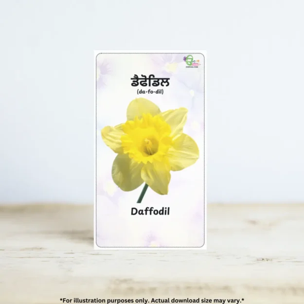 A printable flowers flashcards PDF is standing on a plain background.