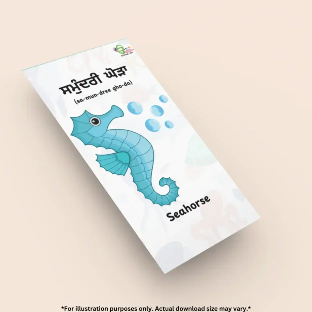 A seahorse sea creatures flashcards is placed on a plain background.