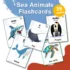 Some printable sea animal flashcards are placed randomly on a digital background with a cards sticker and the name on top.